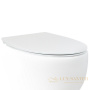 крышка-сиденье для унитаза c микролифтом softclose aet dot 2.0 цвет белый c555r100